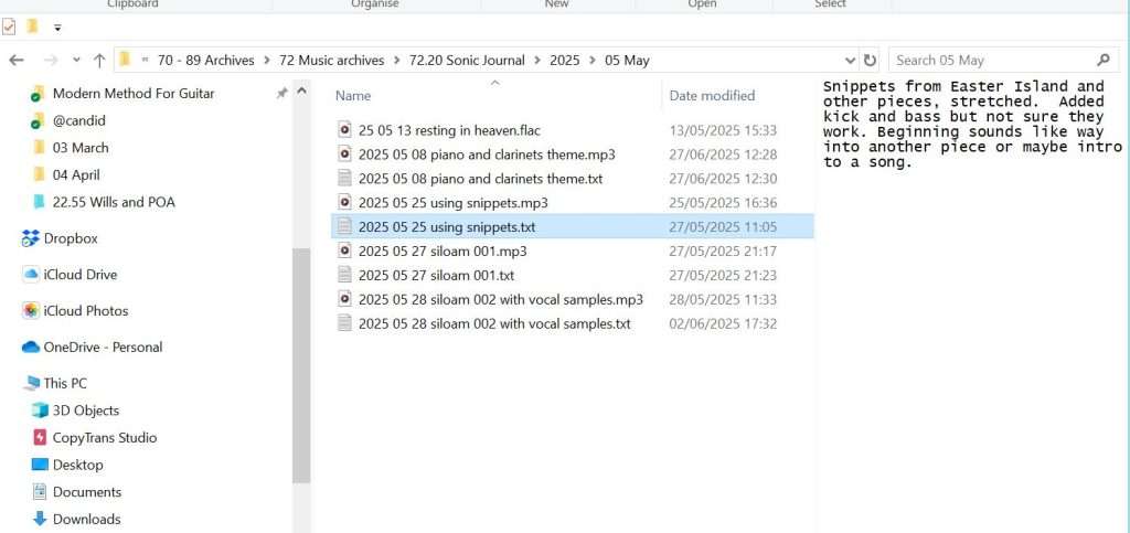 Screenshot from my Sonic Journal showing mp3 files and corresponding text files